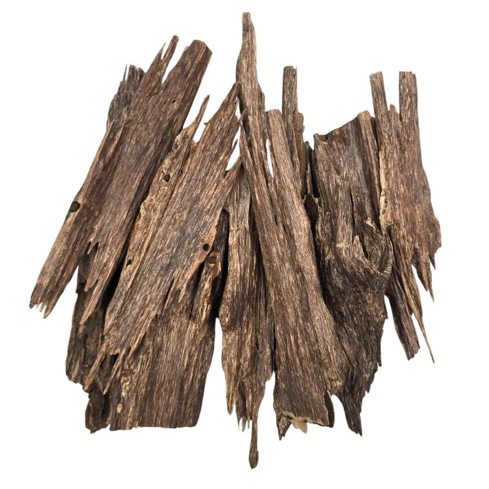 عودهندي دبل سوبر